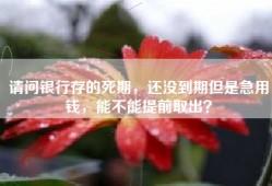 请问银行存的死期，还没到期但是急用钱，能不能提前取出？