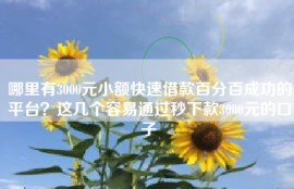哪里有3000元小额快速借款百分百成功的平台？这几个容易通过秒下款3000元的口子