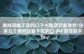 黑网贷能下款的口子小额贷款有哪些?分享几个黑网贷能下款的口子小额贷款平台