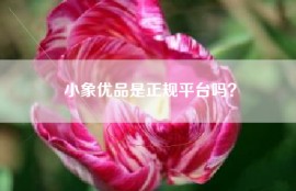小象优品是正规平台吗？