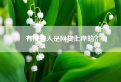 有没有人是网贷上岸的？