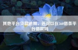 其他平台贷款逾期，还可以在360借条平台借款吗
