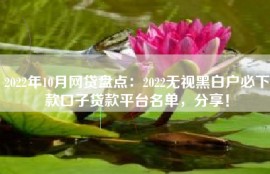 2022年10月网贷盘点：2022无视黑白户必下款口子贷款平台名单，分享！