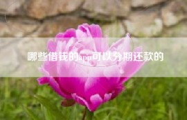 哪些借钱的app可以分期还款的