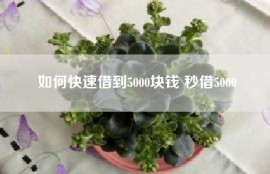 如何快速借到5000块钱 秒借5000