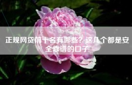 正规网贷前十名有哪些？这几个都是安全靠谱的口子