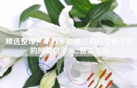 精选整理！千万不能错过的几个必下款的网贷口子2022贷款平台