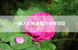 一般人如何从银行获得贷款
