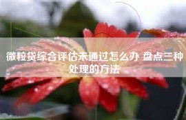 微粒贷综合评估未通过怎么办 盘点三种处理的方法