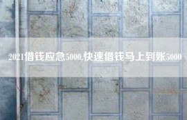 2021借钱应急5000,快速借钱马上到账5000