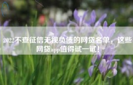 2022不查征信无视负债的网贷名单，这些网贷app值得试一试！