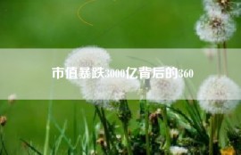 市值暴跌3000亿背后的360