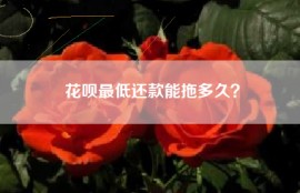 花呗最低还款能拖多久？