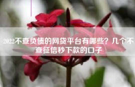 2022不查负债的网贷平台有哪些？几个不查征信秒下款的口子