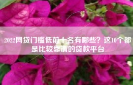 2022网贷门槛低前十名有哪些？这10个都是比较靠谱的贷款平台