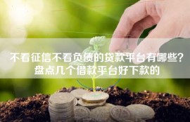 不看征信不看负债的贷款平台有哪些？盘点几个借款平台好下款的