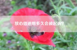 放心借逾期多久会被起诉？