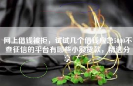 网上借钱被拒，试试几个借钱应急5000不查征信的平台有哪些小额贷款，精选分享