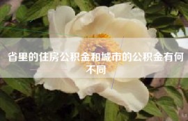 省里的住房公积金和城市的公积金有何不同