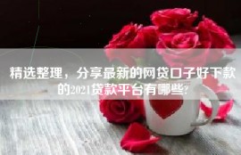 精选整理，分享最新的网贷口子好下款的2021贷款平台有哪些?