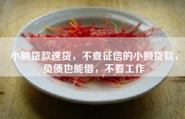 小额贷款速贷，不查征信的小额贷款，负债也能借，不看工作