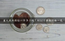 重大疾病保险一年多少钱？附50万保额价格一览