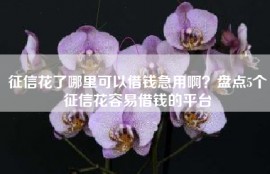 征信花了哪里可以借钱急用啊？盘点5个征信花容易借钱的平台