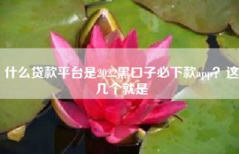 什么贷款平台是2022黑口子必下款app？这几个就是