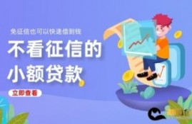 不看征信的小额贷款 哪个可以快速借到钱