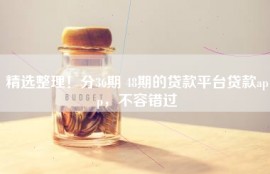 精选整理！分36期 48期的贷款平台贷款app，不容错过
