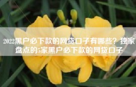 2022黑户必下款的网贷口子有哪些？独家盘点的5家黑户必下款的网贷口子