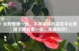 全网整理一份，不用审核的贷款平台直接下款名单一览，实测有效！