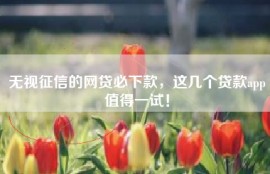 无视征信的网贷必下款，这几个贷款app值得一试！
