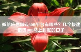 微信应急借钱3000平台有哪些？几个快速借钱3000马上到账的口子