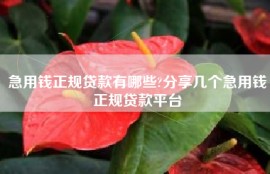 急用钱正规贷款有哪些?分享几个急用钱正规贷款平台