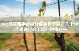 2022借款新平台百分百能秒下款，几个2022容易通过必下款的网贷口子