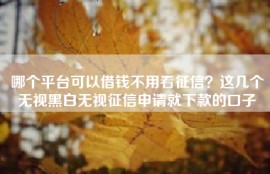 哪个平台可以借钱不用看征信？这几个无视黑白无视征信申请就下款的口子