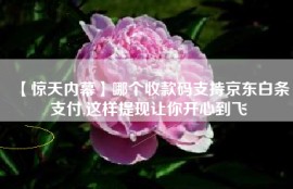 【惊天内幕】哪个收款码支持京东白条支付,这样提现让你开心到飞