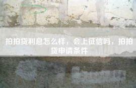 拍拍贷利息怎么样，会上征信吗，拍拍贷申请条件