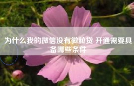为什么我的微信没有微粒贷 开通需要具备哪些条件