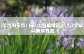 放水的贷款口子2022名单精选，这几个软件亲测有效