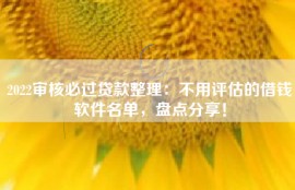 2022审核必过贷款整理：不用评估的借钱软件名单，盘点分享！
