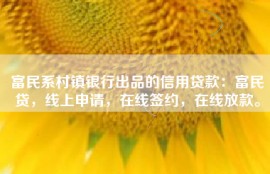富民系村镇银行出品的信用贷款：富民贷，线上申请，在线签约，在线放款。