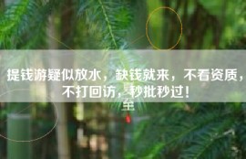 提钱游疑似放水，缺钱就来，不看资质，不打回访，秒批秒过！