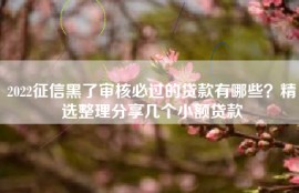 2022征信黑了审核必过的贷款有哪些？精选整理分享几个小额贷款