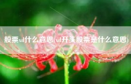 股票xd什么意思(xd开头股票是什么意思)