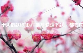 十大借款秒批APP推荐,快速下款app都在这