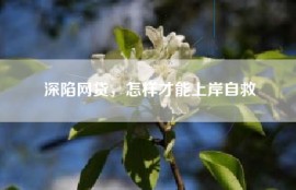 深陷网贷，怎样才能上岸自救