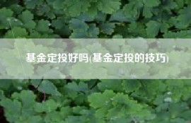 基金定投好吗(基金定投的技巧)