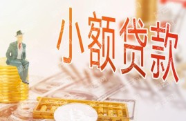 千元小额借款秒下的网贷有哪些，这几个都是小额贷款借1000马上到账的口子